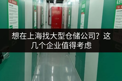 想在上海找大型仓储公司？这几个企业值得考虑