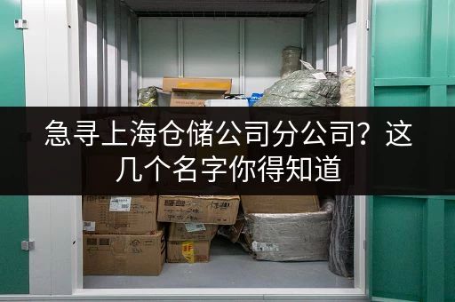 急寻上海仓储公司分公司？这几个名字你得知道