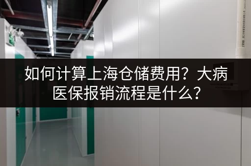 如何计算上海仓储费用？大病医保报销流程是什么？
