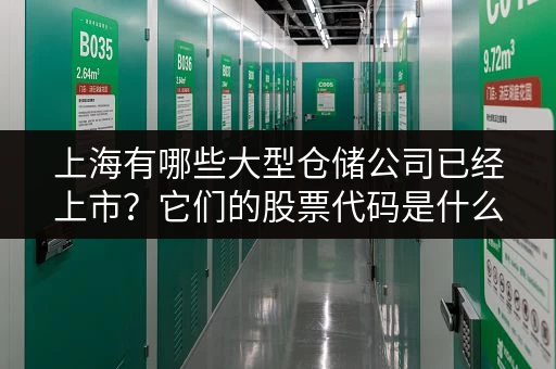 上海有哪些大型仓储公司已经上市？它们的股票代码是什么？