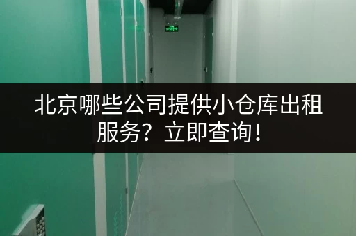 北京哪些公司提供小仓库出租服务？立即查询！