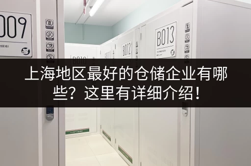 上海地区最好的仓储企业有哪些？这里有详细介绍！