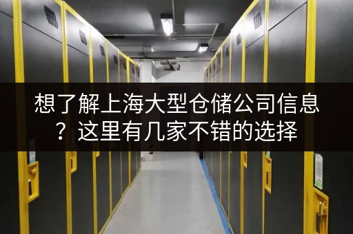想了解上海大型仓储公司信息？这里有几家不错的选择