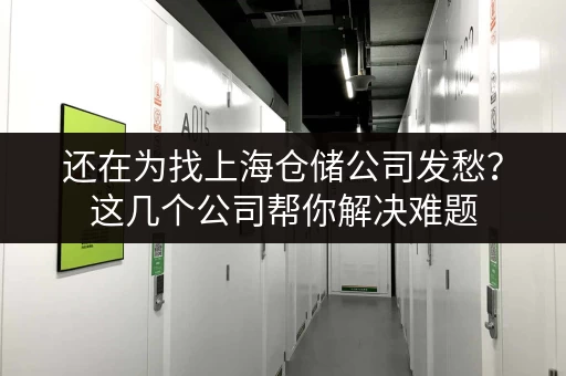 还在为找上海仓储公司发愁？这几个公司帮你解决难题