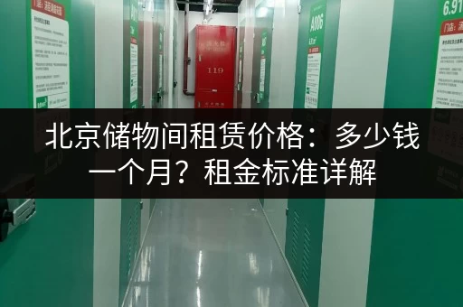 北京储物间租赁价格:多少钱一个月?租金标准详解 北京储物间租赁价格:多少钱一个月?租金标准详解