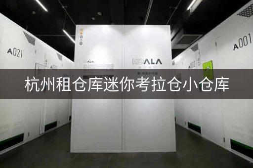 杭州租仓库迷你考拉仓小仓库，杭州租仓库平台哪个好