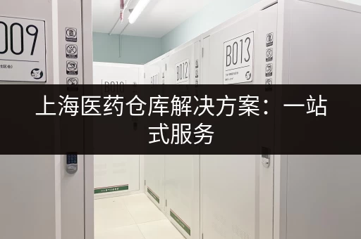 上海医药仓库解决方案：一站式服务，省心省力