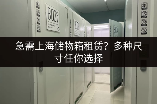 急需上海储物箱租赁？多种尺寸任你选择