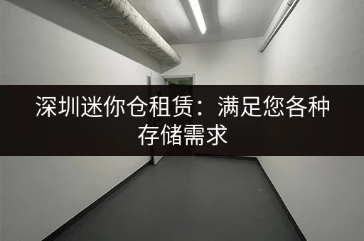 深圳迷你仓租赁：满足您各种存储需求，价格透明