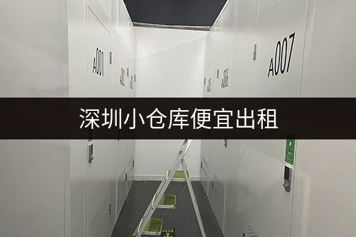 深圳小仓库便宜出租，月租百元起，多种面积可选