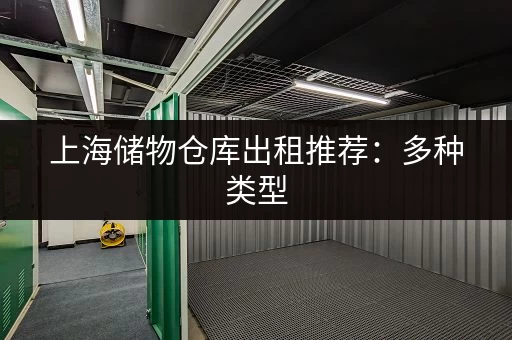上海储物仓库出租推荐：多种类型，满足你的需求！