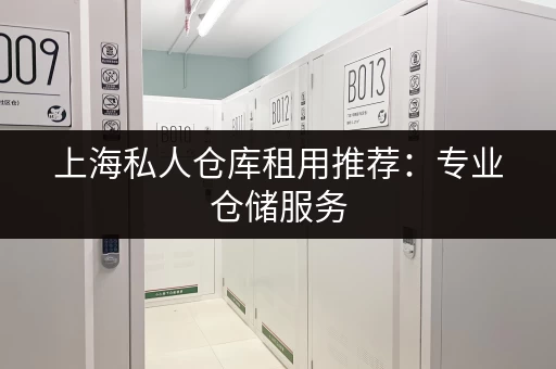 上海私人仓库租用推荐：专业仓储服务，安全便捷有保障