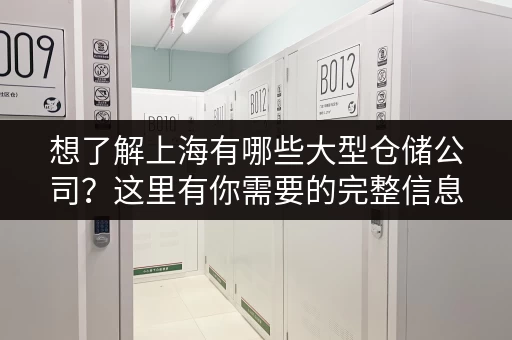 想了解上海有哪些大型仓储公司？这里有你需要的完整信息