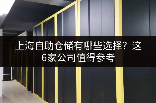 上海自助仓储有哪些选择？这6家公司值得参考