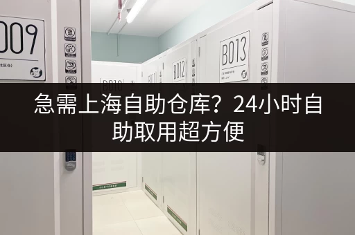 急需上海自助仓库？24小时自助取用超方便