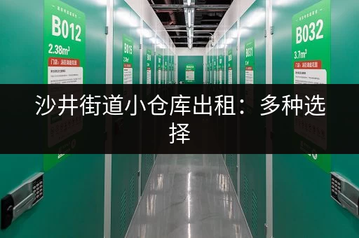 沙井街道小仓库出租：多种选择，价格优惠，欢迎咨询