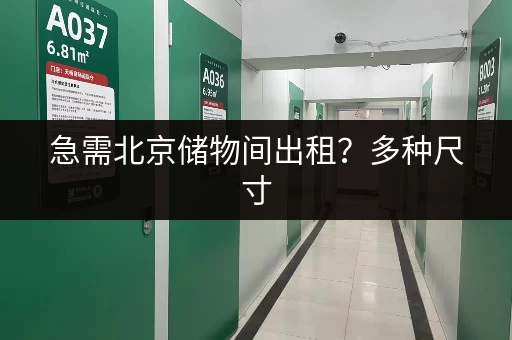 急需北京储物间出租？多种尺寸，灵活租赁，安全可靠