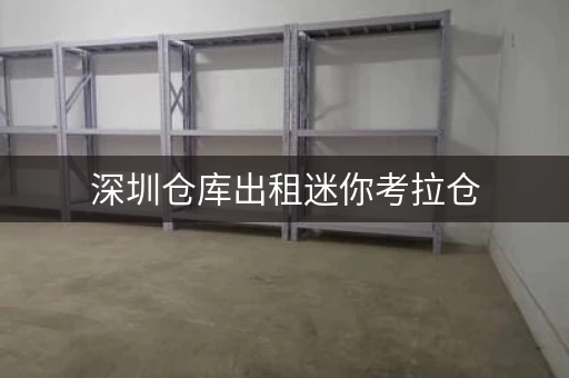 深圳仓库出租迷你考拉仓，新深圳坂田小仓库出租信息电话
