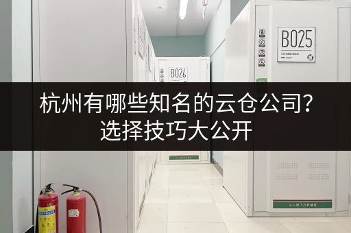 杭州有哪些知名的云仓公司？选择技巧大公开