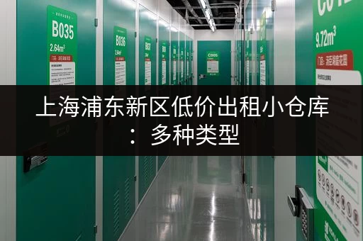 上海浦东新区低价出租小仓库：多种类型，安全可靠，随时看房