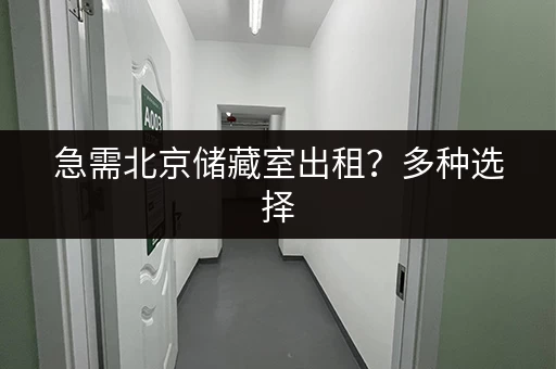 急需北京储藏室出租？多种选择，满足您的需求