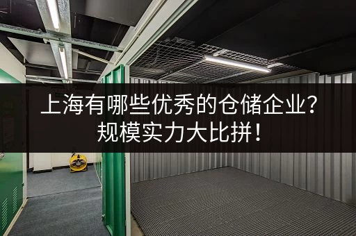 上海有哪些优秀的仓储企业？规模实力大比拼！