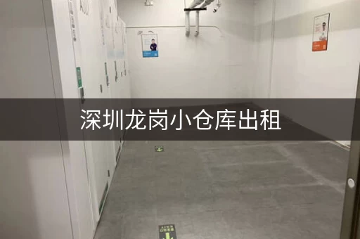 深圳龙岗小仓库出租，深圳仓库出租迷你考拉仓