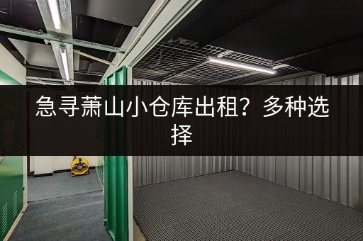 急寻萧山小仓库出租？多种选择，总有一款适合你