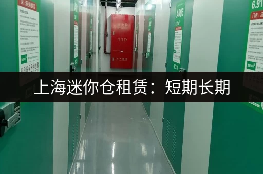 上海迷你仓租赁：短期长期，大小随意，存放更安心！