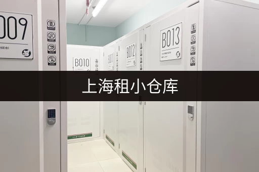 上海租小仓库，哪个平台价格最实惠？用户口碑大揭秘！