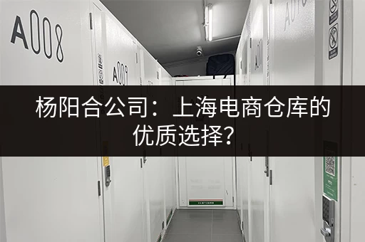 杨阳合公司：上海电商仓库的优质选择？