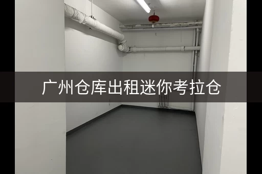 广州仓库出租迷你考拉仓，广州电商小仓库出租