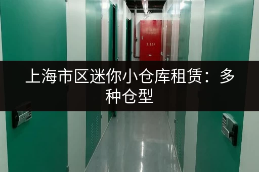 上海市区迷你小仓库租赁：多种仓型，满足您的需求