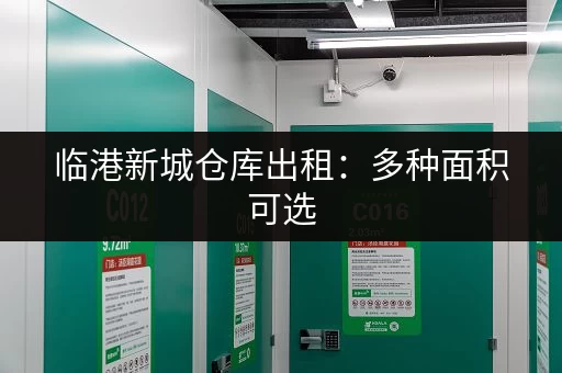 临港新城仓库出租：多种面积可选，满足您的需求