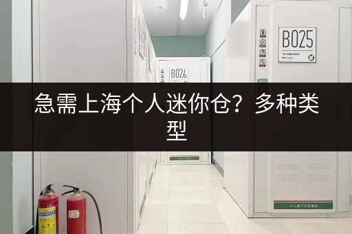 急需上海个人迷你仓？多种类型，快速解决您的存储难题