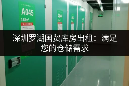 深圳罗湖国贸库房出租：满足您的仓储需求，欢迎咨询！