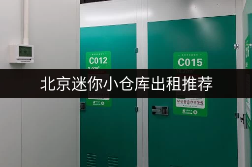 北京迷你小仓库出租推荐，价格实惠空间灵活