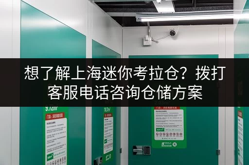 想了解上海迷你考拉仓？拨打客服电话咨询仓储方案