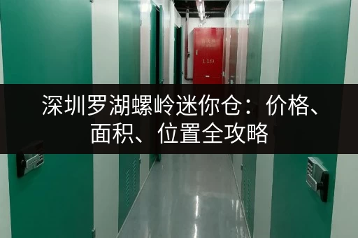 深圳罗湖螺岭迷你仓：价格、面积、位置全攻略