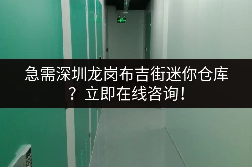 急需深圳龙岗布吉街迷你仓库？立即在线咨询！