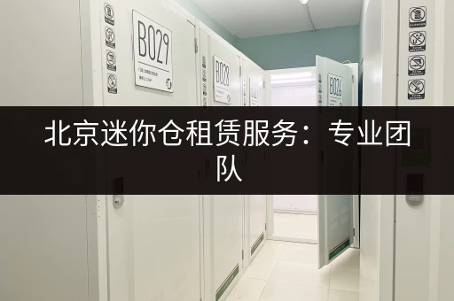 北京迷你仓租赁服务：专业团队，贴心服务，放心选择！