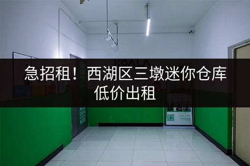 急招租！西湖区三墩迷你仓库低价出租，欢迎咨询
