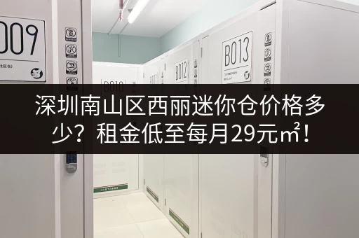 深圳南山区西丽迷你仓价格多少？租金低至每月29元㎡！