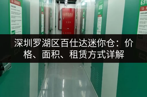 深圳罗湖区百仕达迷你仓：价格、面积、租赁方式详解