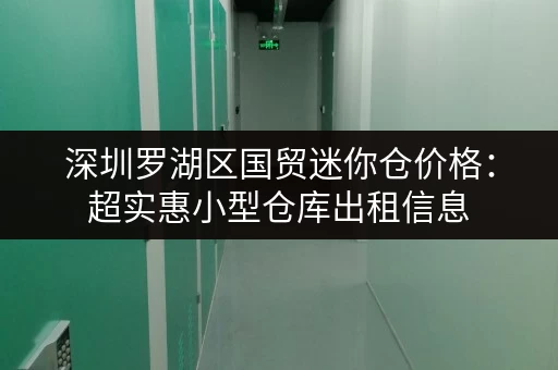 深圳罗湖区国贸迷你仓价格：超实惠小型仓库出租信息