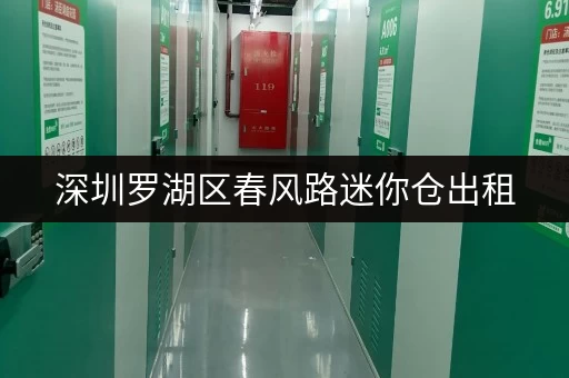 深圳罗湖区春风路迷你仓出租，安全可靠，方便快捷！