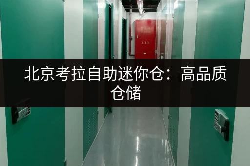 北京考拉自助迷你仓：高品质仓储，您的安心之选