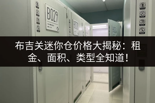 布吉关迷你仓价格大揭秘：租金、面积、类型全知道！