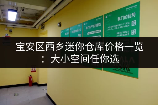 宝安区西乡迷你仓库价格一览：大小空间任你选