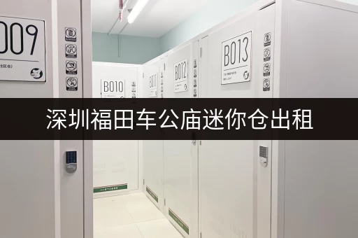 深圳福田车公庙迷你仓出租，多种尺寸任您选择